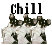 841841009