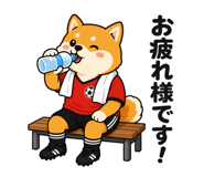 841841114