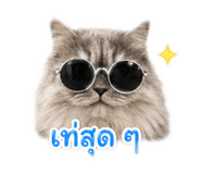 841842300