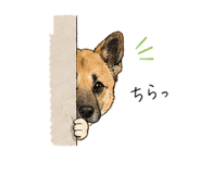 841843374