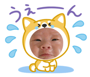 841843694