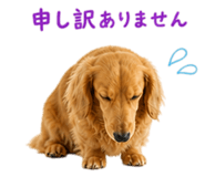 841844376