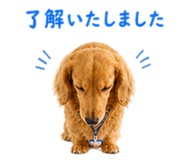 841844398