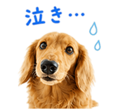 841844560