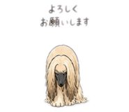 841844695
