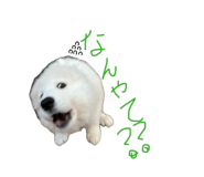841844829