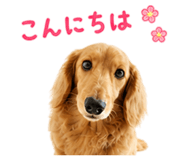 841845179