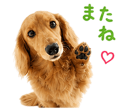 841845180