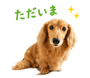 841845182
