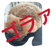 841845275