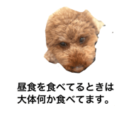 841845277