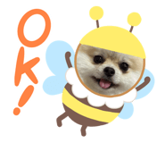 841845397
