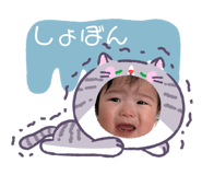 841845806