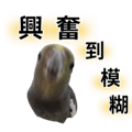 841850172