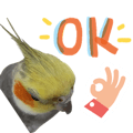 841850178