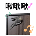 841850182