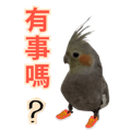 841850183