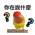 841850187