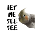 841850188