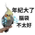 841850190