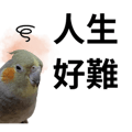 841850191