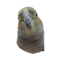 841850195