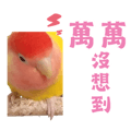 841850199