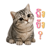 841850828