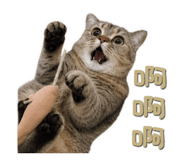 841851245