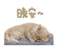 841851250