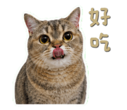841851252
