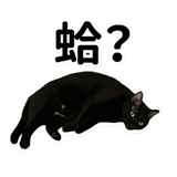 841851782