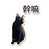 841851792