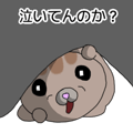 841853253