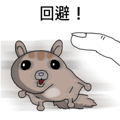 841853276