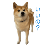 841853857