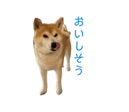 841853858