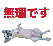 841853891