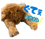 841854030
