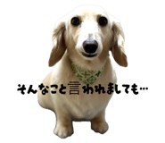 841854581