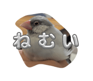 841855009