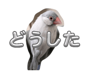 841855012