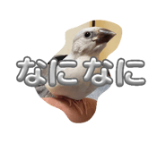 841855013