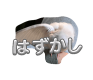 841855014