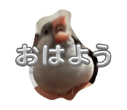 841855016