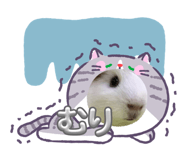 841855134