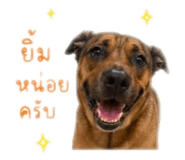841855687