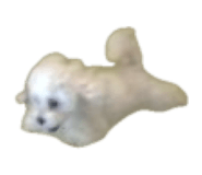 841855843