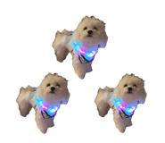 841855844