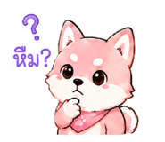 841856242